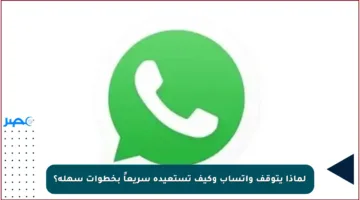لماذا يتوقف واتساب وكيف تستعيده سريعاً بخطوات سهلة؟